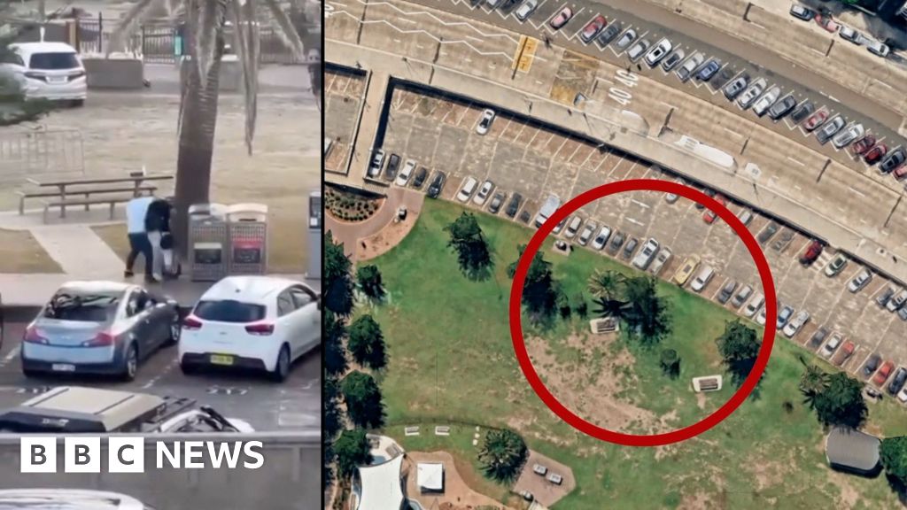 邦迪海滩枪击案是如何一步步发生的